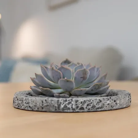 Lägenhet Cid 90 Flat By Concept *